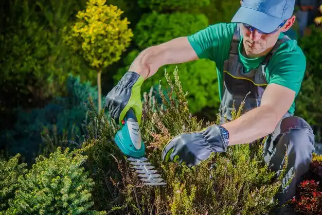 landscaping services Gueydan